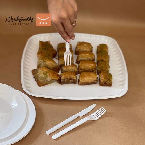سینی یکبارمصرف طلقی کارا 3