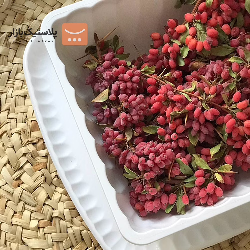 کاسه یکبارمصرف طلقی کارا