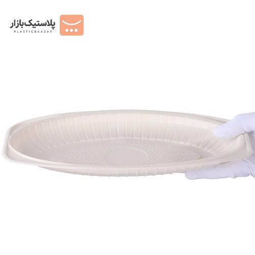 دیس گیاهی کوچک پیکنیک