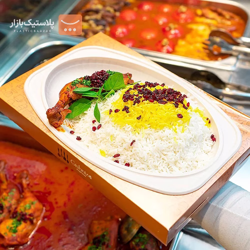 دیس گیاهی کوچک پیکنیک 2