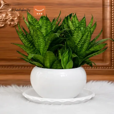 زیرگلدانی سایز 4
